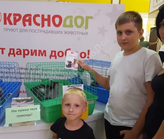 Аризона
